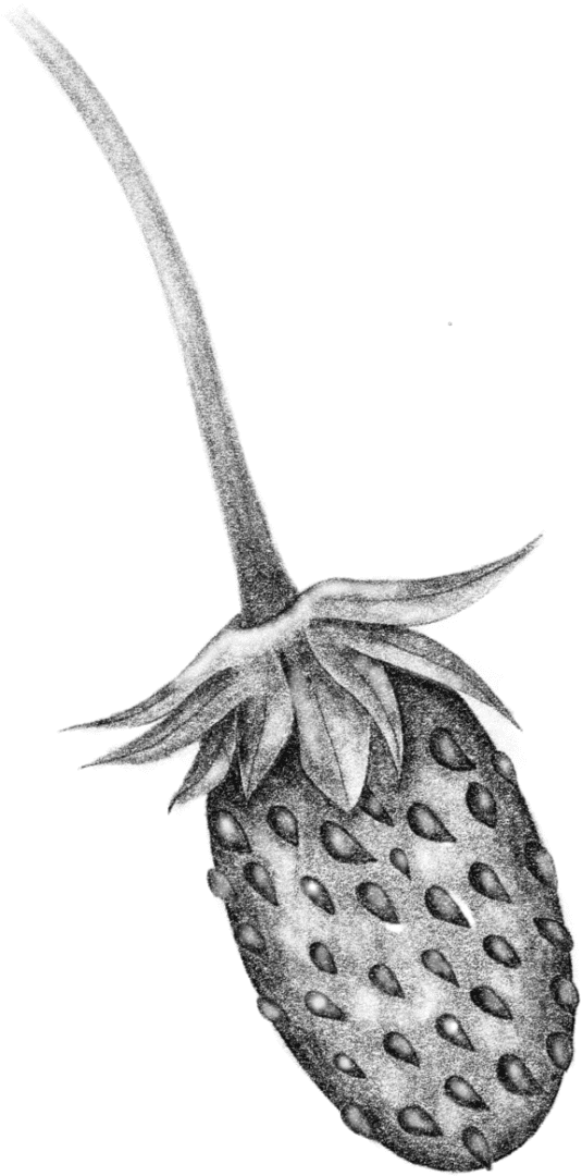 A silhouette of an animal with horns on its head.