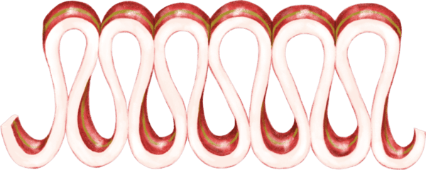 A red and white candy cane border on green background.