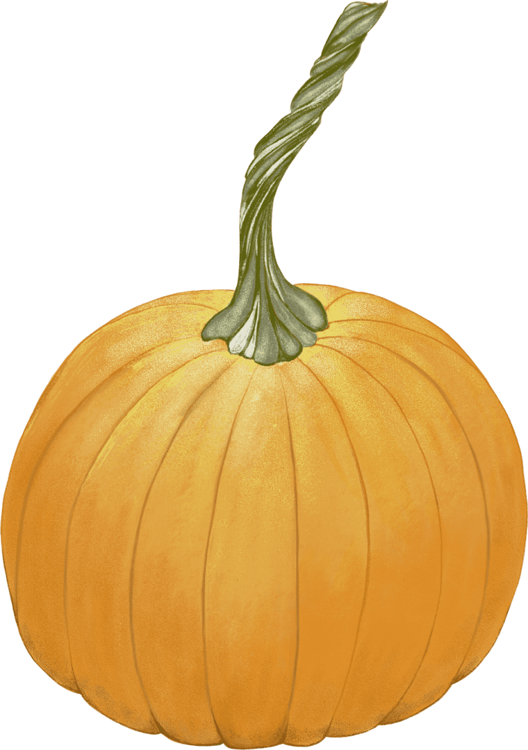 A pumpkin with green stem and orange center.