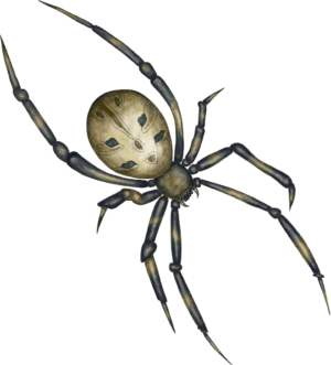 A spider with long legs and a face.