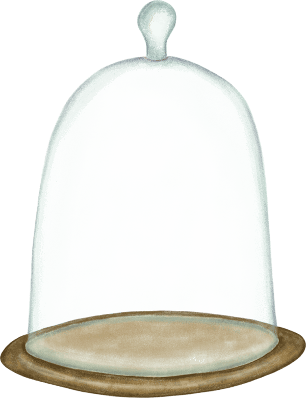 A glass dome is shown with a wooden base.