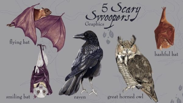 A group of birds and bats with words that say " 5 scary swoopers graphics ".