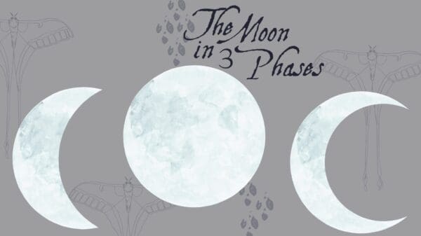 A picture of the moon in three phases.